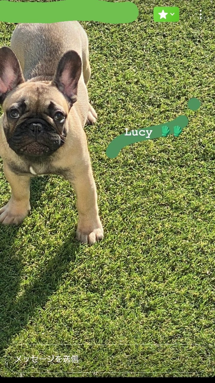 �t�����`�u���h�b�O �e��